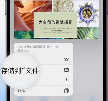 莱城apple维修中心分享iPhone文件应用中存储和找到下载文件