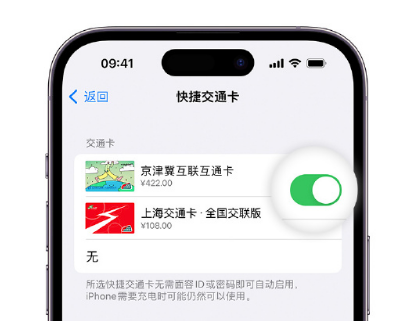 莱城apple维修点分享iPhone上更换Apple Pay快捷交通卡手绘卡面 