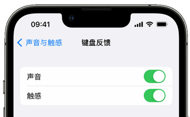 莱城苹果手机维修分享iPhone 14触感键盘使用方法 