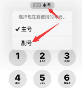 莱城苹果14维修店分享iPhone 14 Pro Max使用副卡打电话的方法 