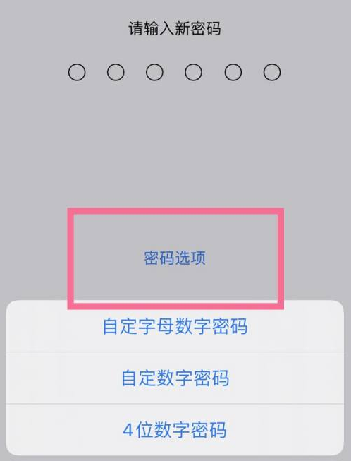 莱城苹果14维修分享iPhone 14plus设置密码的方法 