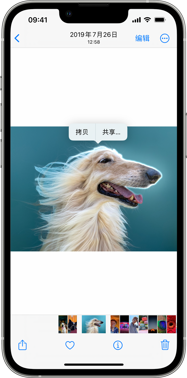 莱城苹果服务网点分享iOS 16 “一键抠图”功能支持哪些机型？ 