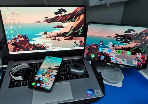 莱城苹果手机维修分享为什么iPad屏幕更大价格却比iPhone低 