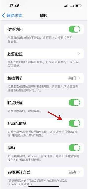 莱城苹果手机维修分享iPhone手机如何设置摇一摇删除文字 