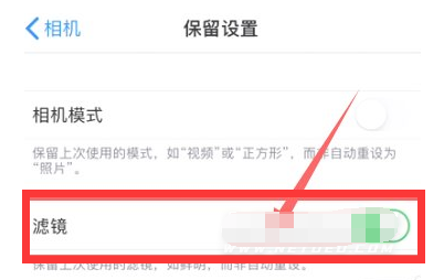 莱城苹果13维修分享iPhone13拍照有绿点是怎么回事 