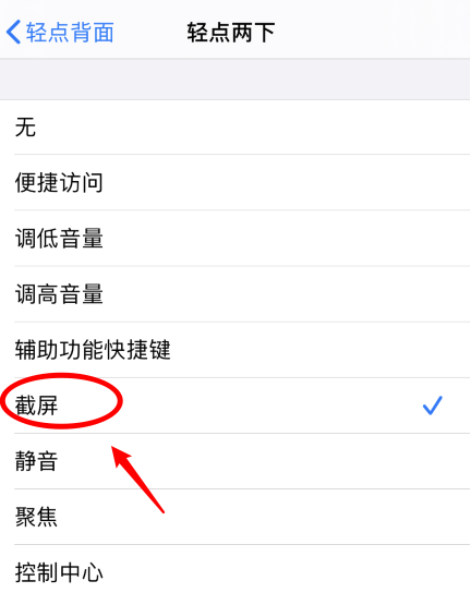 莱城苹果手机维修分享iPhone12如何启用双击截屏 