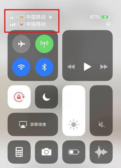 莱城苹果手机维修分享为 iPhone 12 双卡设置标签 