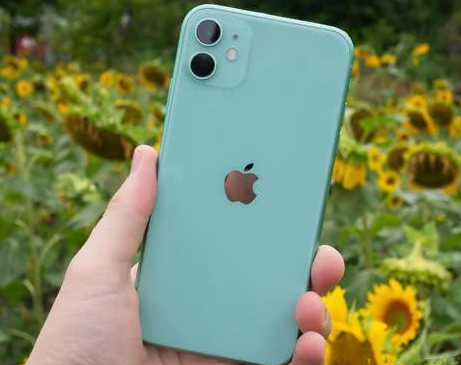 莱城苹果维修点分享iPhone 11锁屏密码认知与使用科普 