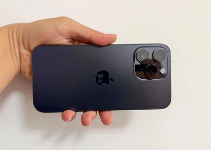 莱城苹果维修点分享iPhone 14 Pro Max黑屏少见故障盘点 